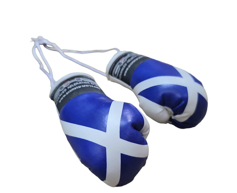 AXS Mini Boxing Gloves - Scotland One Pair