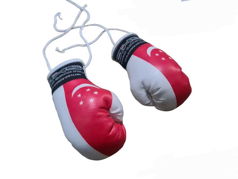 AXS Mini Boxing Gloves - Singapore One Pair