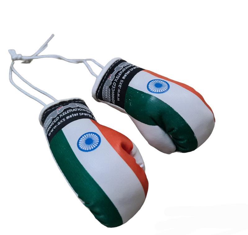 AXS Mini Boxing Gloves - India / Indian One Pair