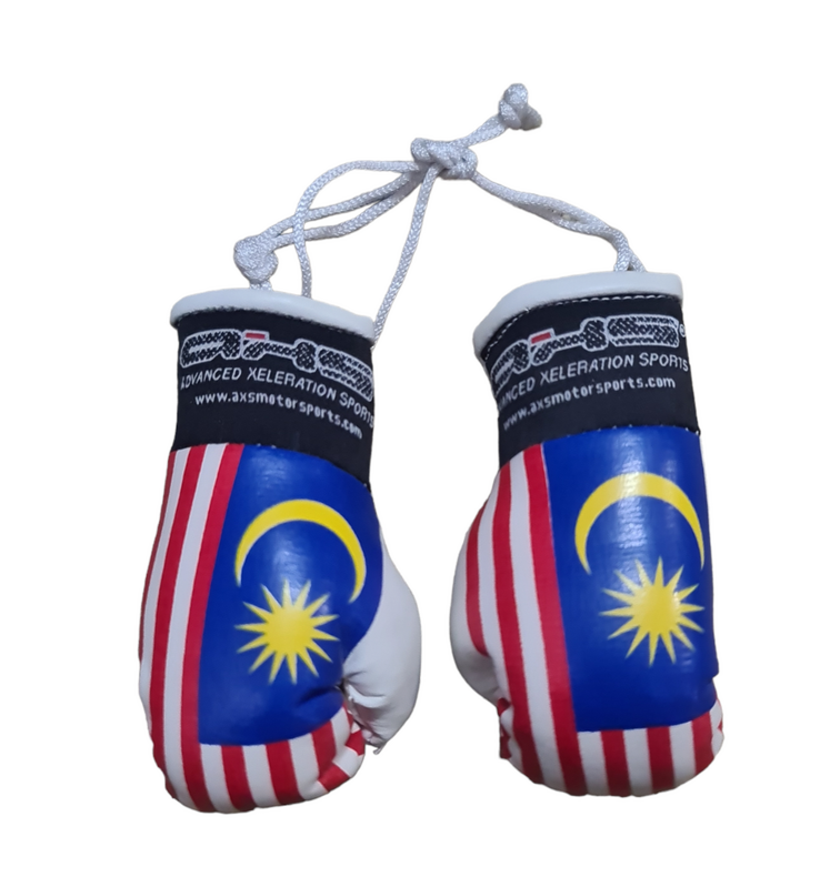 Axs Mini Boxing Gloves- Malaysia One Pair