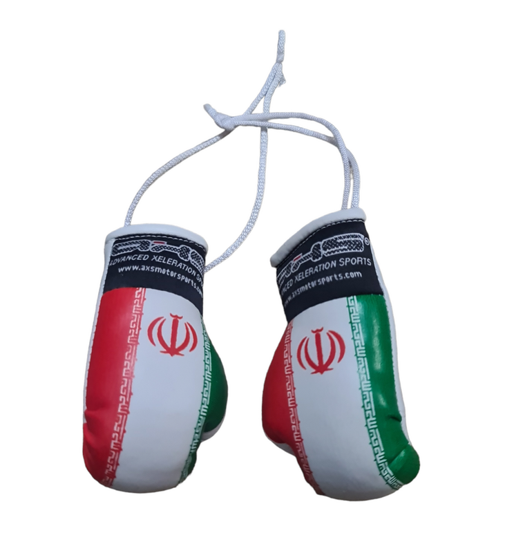 Axs Mini Boxing Gloves- Iran One Pair 5043_IRAN