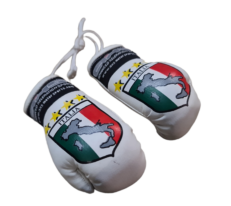 AXS Mini Boxing Gloves - Italy One Pair