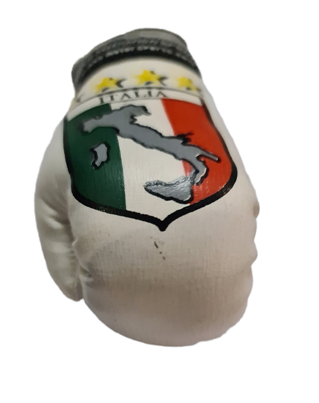 AXS Mini Boxing Gloves - Italy One Pair
