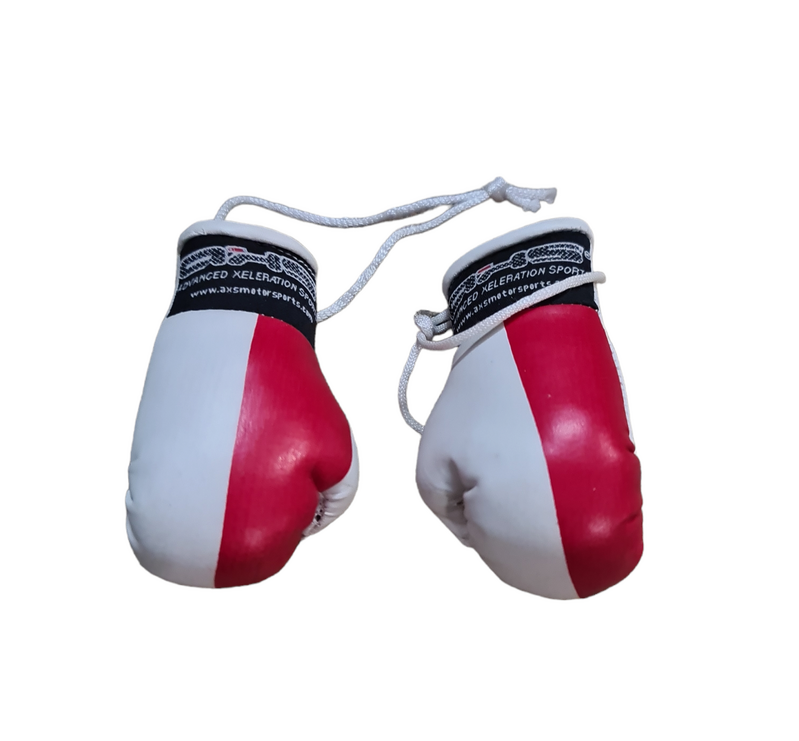 AXS Mini Boxing Gloves - Poland Black One Pair