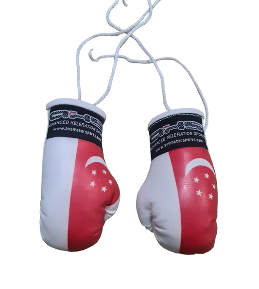 AXS Mini Boxing Gloves - Singapore One Pair
