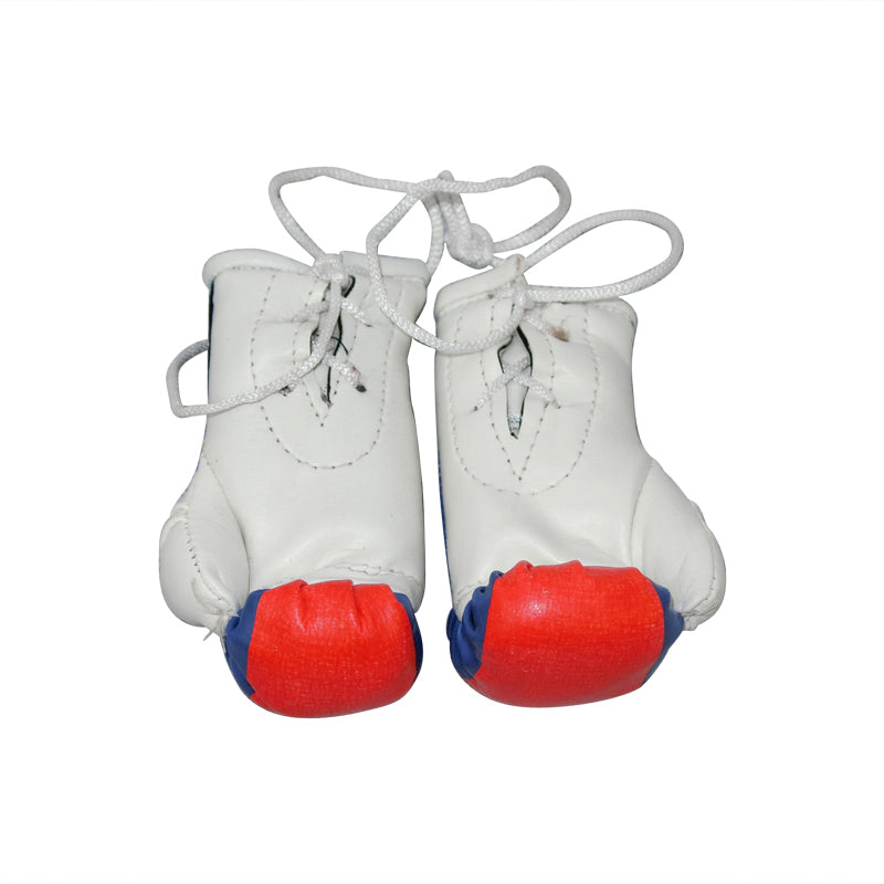 AXS Mini Boxing Gloves - -Cambodia One Pair