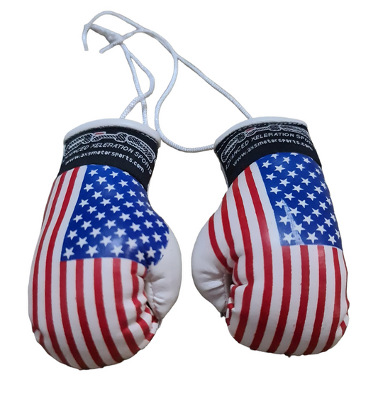 AXS Mini Boxing Gloves - USA / American One Pair