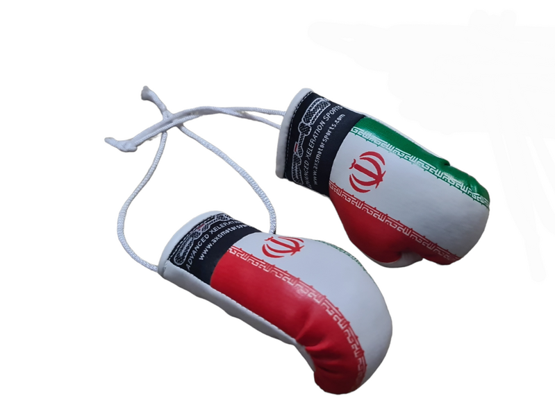 Axs Mini Boxing Gloves- Iran One Pair 5043_IRAN