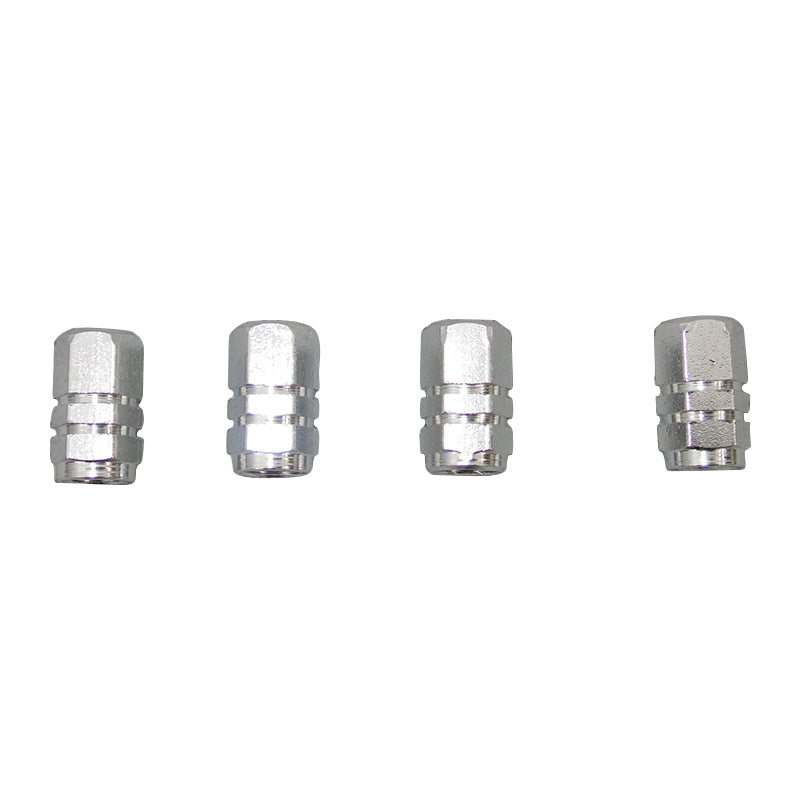 Tyre Valve Caps- Silver Colour TG16
