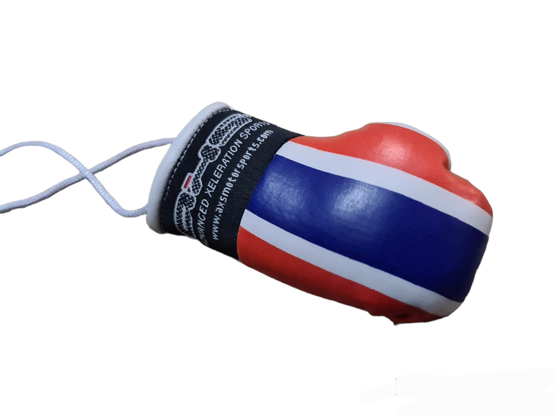 AXS Mini Boxing Gloves - Thailand One Pair