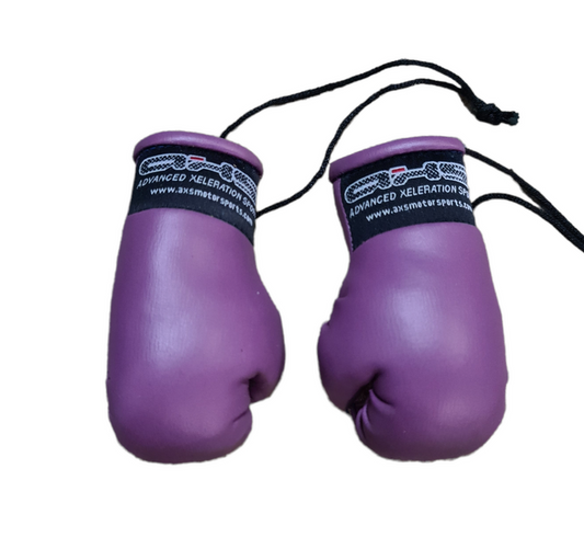 AXS Mini Boxing Gloves - Purple One Pair
