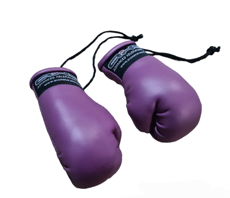 AXS Mini Boxing Gloves - Purple One Pair