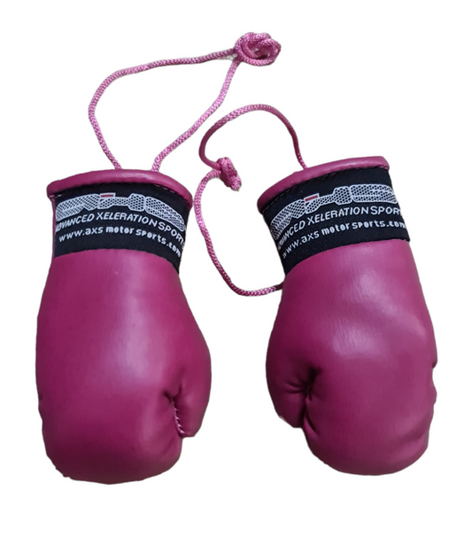 AXS Mini Boxing Gloves - Maroon Black One Pair