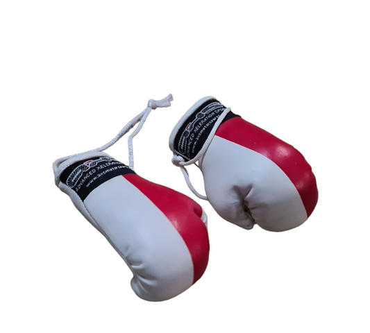 AXS Mini Boxing Gloves - Poland Black One Pair